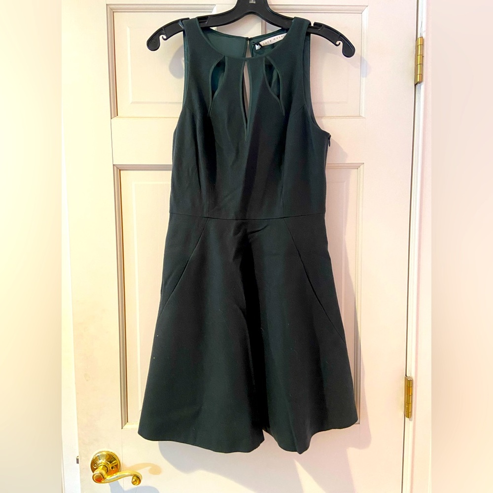 Susana Monaco dress